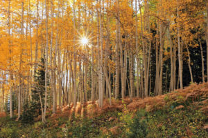 22 de septiembre, inicia oficialmente el otoño